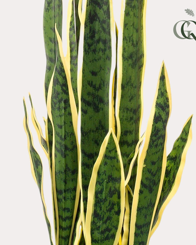 Kunstplant - Sanseveria Trifasciata - Vrouwentong - ↕ 97 cm