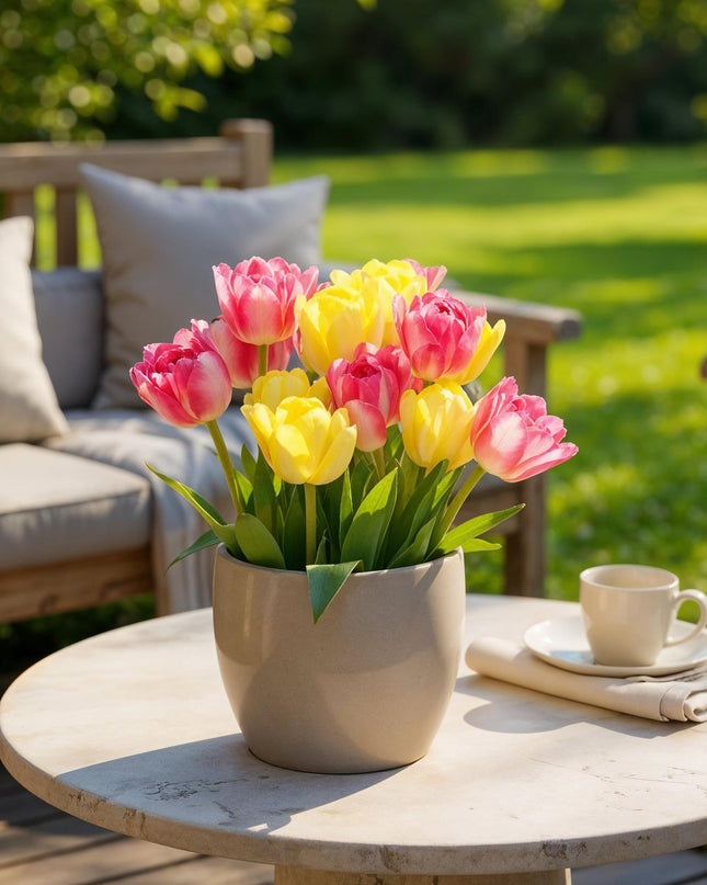 Bloembollen - Tulp Foxtrot mix - Diversen Kleuren - 12 stuks - Bolmaat 11/12 - XXL Pack