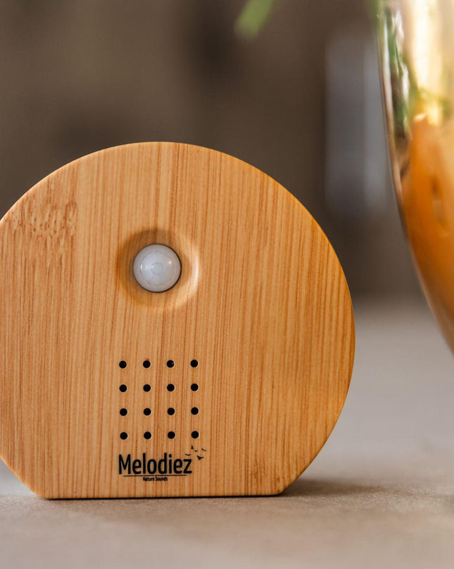 Scatola musicale Melodiez - Legno