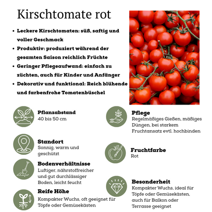 Mezcla de verduras rojas para cosechar de 3 plantas - Tomate cherry - Pimiento snack rojo - Planta de chile rojo picante - Ø 14 cm - ↨ 45 cm