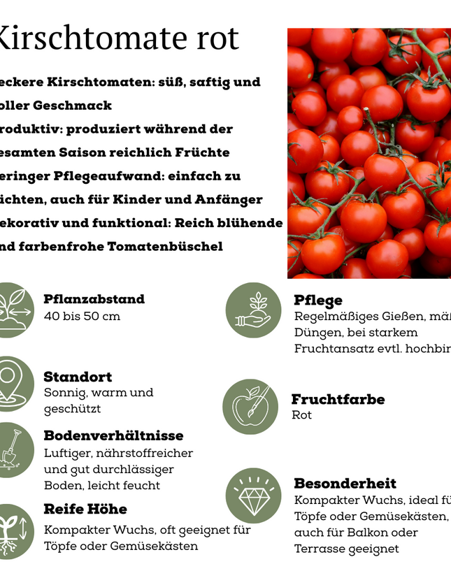 Red Harvest Vegetable Mix of 3 Plants - Cherry Tomato - Red Snack Pepper - Red Hot Pepper Plant - Ø 14 cm - ↨ 45 cm