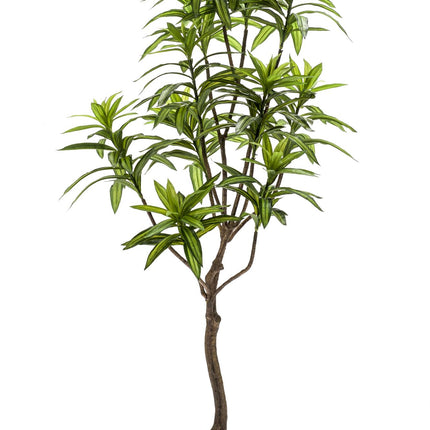 Kunstplant - Dracaena - Drakenboom - ↕ 130 cm