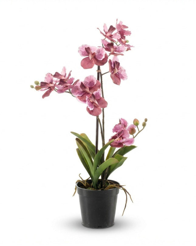 Artificial orchid old pink in pot - 60 cm