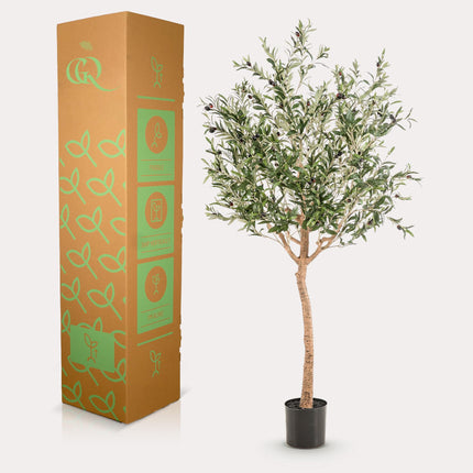 Kunst Olijfboom -  Olea europaea - Olijfboom - ↕ 180 cm