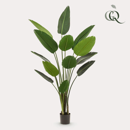 Kunstplant - Strelitzia Nicolai - Paradijsvogelbloem - ↕ 190 cm