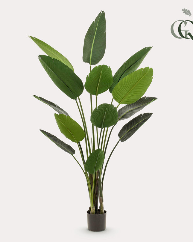 Kunstplant - Strelitzia Nicolai - Paradijsvogelbloem - ↕ 190 cm