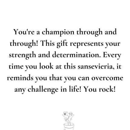Sansevieria Gift "The Champion" met wenskaart - Ø12cm - ↕30cm