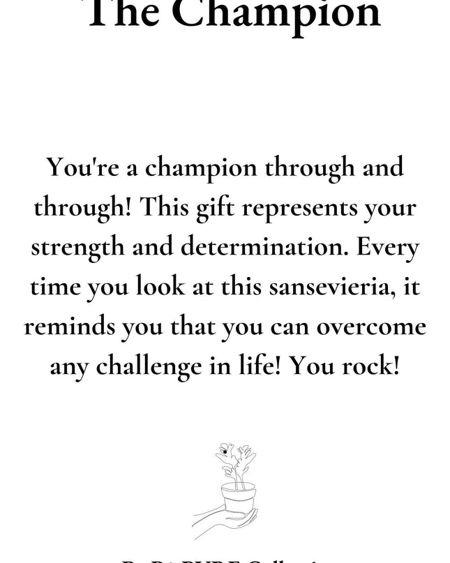 Sansevieria Gift "The Champion" met wenskaart - Ø12cm - ↕30cm