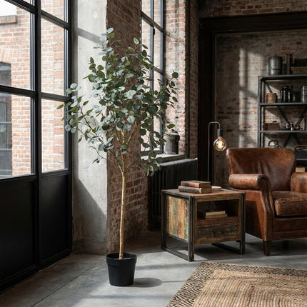 Planta artificial Eucalipto - 180cm