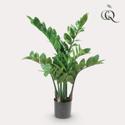 Kunstplant - Zamioculcas - Kamerpalm - ↕ 70 cm
