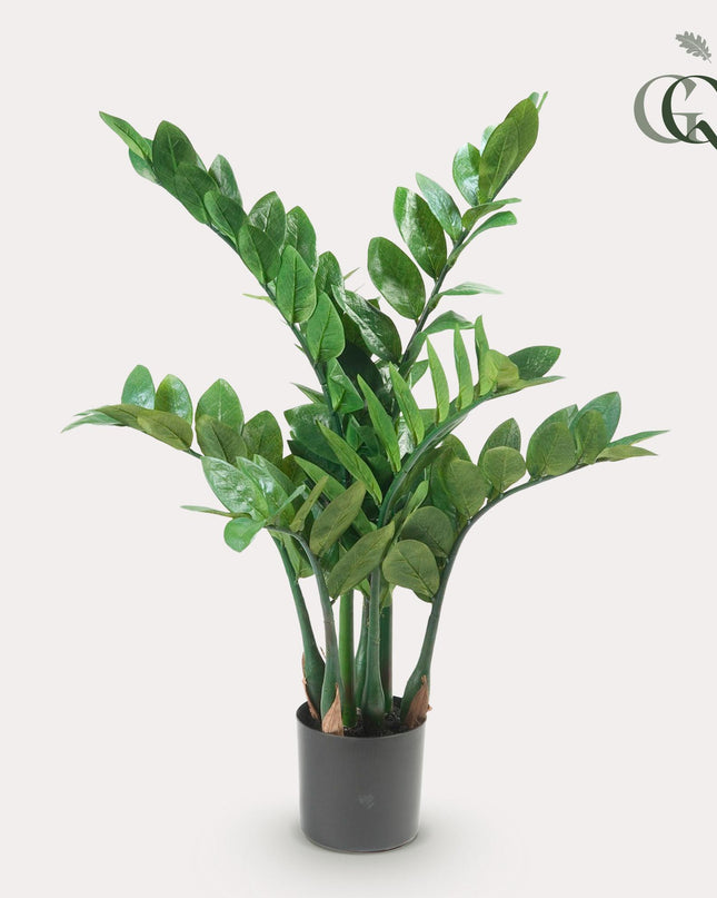 Kunstplant - Zamioculcas - Kamerpalm - ↕ 70 cm