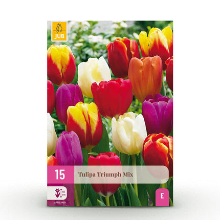 Bloembollen - Tulp Triumph mix - Diversen kleuren - 15 stuks - Bolmaat 11/12 - XXL Pack