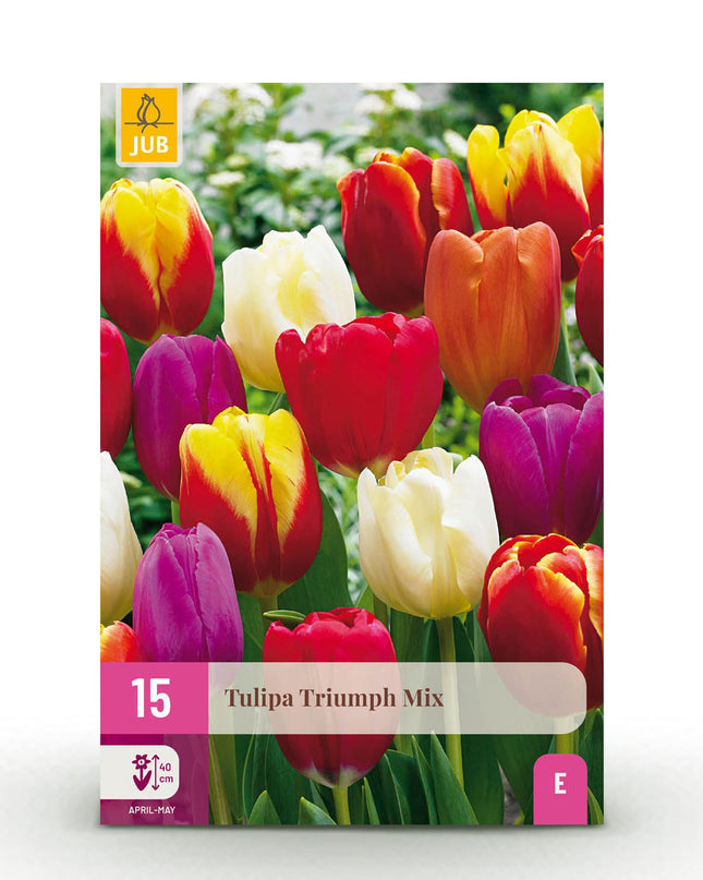Bloembollen - Tulp Triumph mix - Diversen kleuren - 15 stuks - Bolmaat 11/12 - XXL Pack
