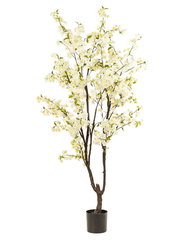 Kunstplant - Prunus - Kersenbloesem - Wit - ↕ 210cm