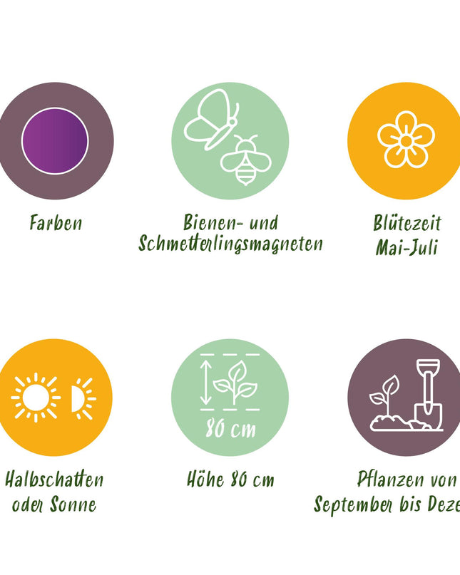 Bloembollen - Allium Purple Sensation - Kleur Paars - 15 stuks - Bolmaat 10/12 - XXL Pack