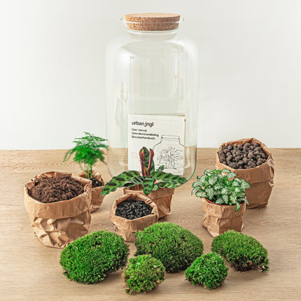 DIY Planten terrarium met licht - Sven XL Botanical - Ø 23 cm ↕ 43 cm - Rake + Shovel + Tweezer + Scissors