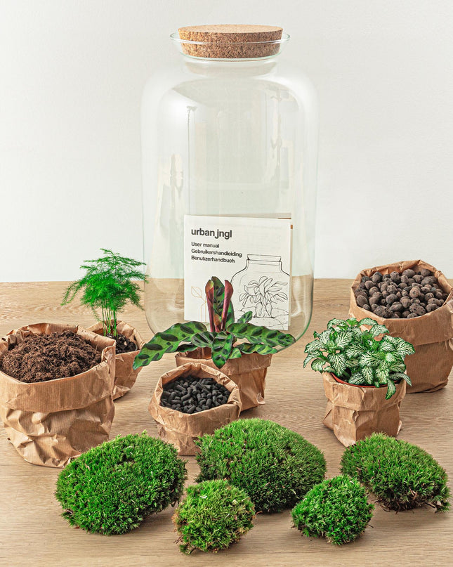 DIY Planten terrarium met licht - Sven XL Botanical - Ø 23 cm ↕ 43 cm - Rake + Shovel + Tweezer + Scissors
