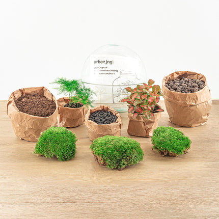 DIY Planten terrarium tweedelig bolglas - Dome Red - Ø 20 cm ↕ 20 cm   - Rake + Shovel + Tweezer