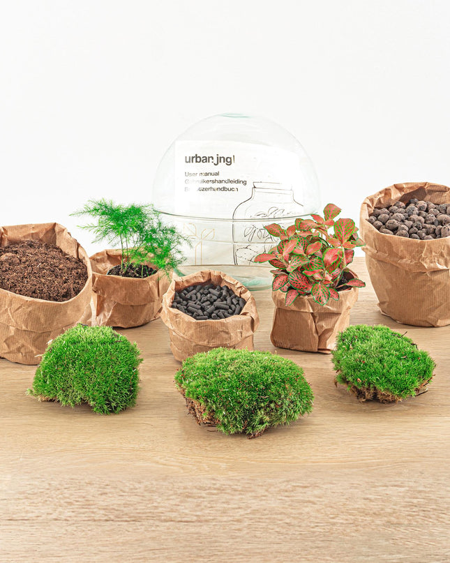 DIY Planten terrarium tweedelig bolglas - Dome Red - Ø 20 cm ↕ 20 cm   - Rake + Shovel + Tweezer