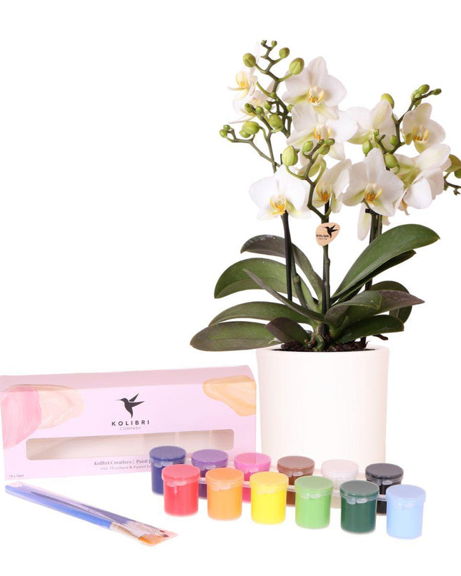 Kolibri Creatives | Verfpakket voor het schilderen van 4 bloempotten + orchideeën | voor 4 personen | Beginnende artiest