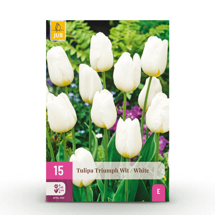 Bloembollen - Tulp Triumph White - Kleur Wit - 15 stuks - Bolmaat 11/12 - XXL Pack