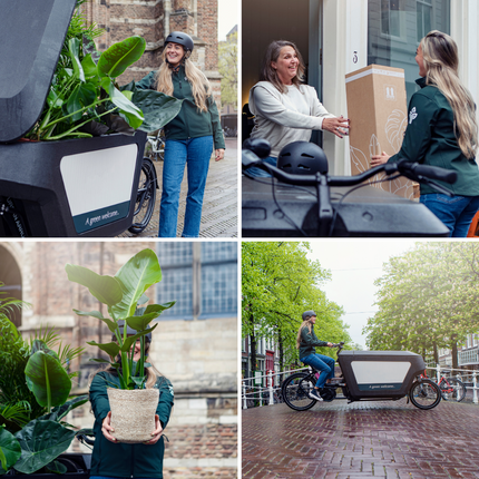 Garden Herb Mix - 4 pieces - Ø14cm - ↕18cm