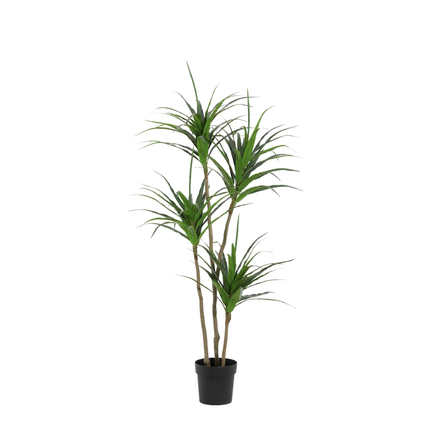 Planta artificial Drácena - 165cm
