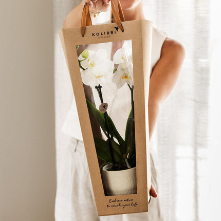 Gift bag for Orchid with Decorative Pot 9cm