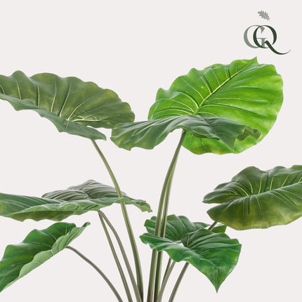 Kunstplant - Alocasia - Olifantsoor - ↕ 70 cm