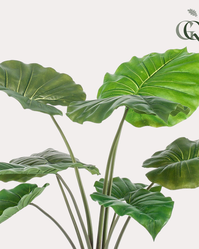 Kunstplant - Alocasia - Olifantsoor - ↕ 70 cm
