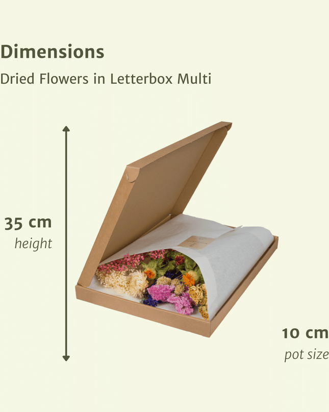 Droogbloemen in Letterbox - Multi