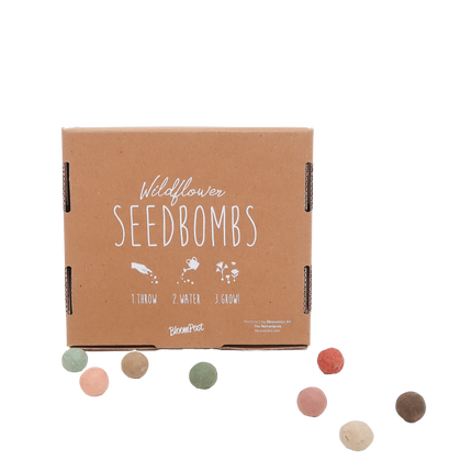 Bloembommetjes - Brievenbuscadeau