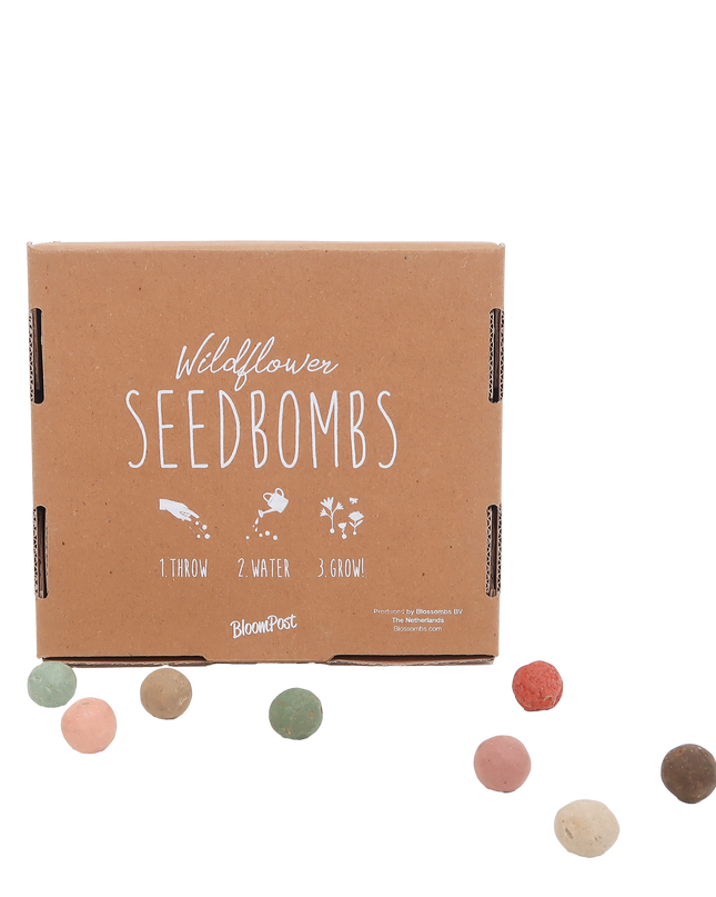 Bloembommetjes - Brievenbuscadeau