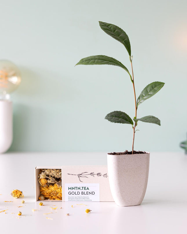 Tea break - Brievenbuscadeau