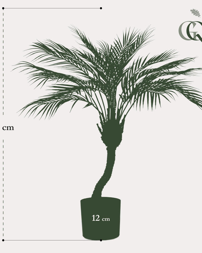 Kunstplant - Chamaedorea - Bergpalm - ↕ 85 cm