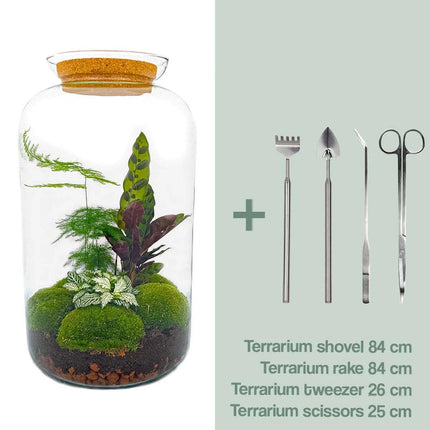 DIY Planten terrarium met licht - Sven XL Botanical - Ø 23 cm ↕ 43 cm - Rake + Shovel + Tweezer + Scissors