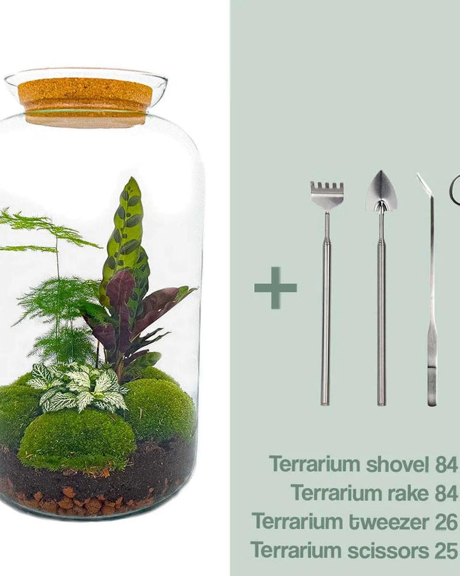 DIY Planten terrarium met licht - Sven XL Botanical - Ø 23 cm ↕ 43 cm - Rake + Shovel + Tweezer + Scissors