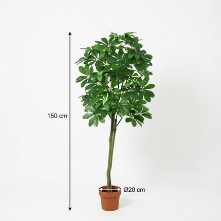 Planta artificial Pachira Aquatica - 150cm