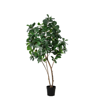 Planta artificial Ficus Lyrata - 180cm
