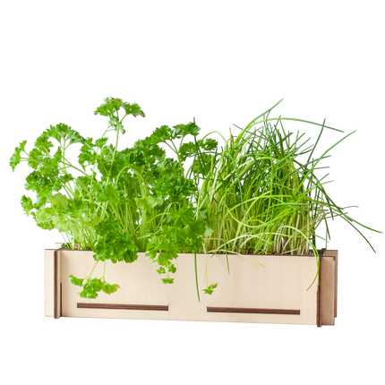 Kruidenpost - Brievenbuscadeau