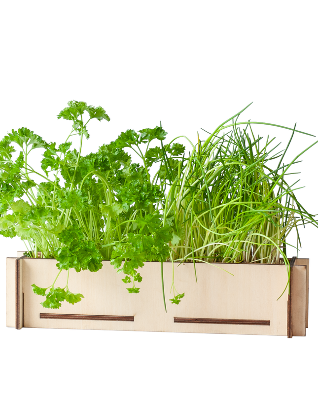 Kruidenpost - Brievenbuscadeau