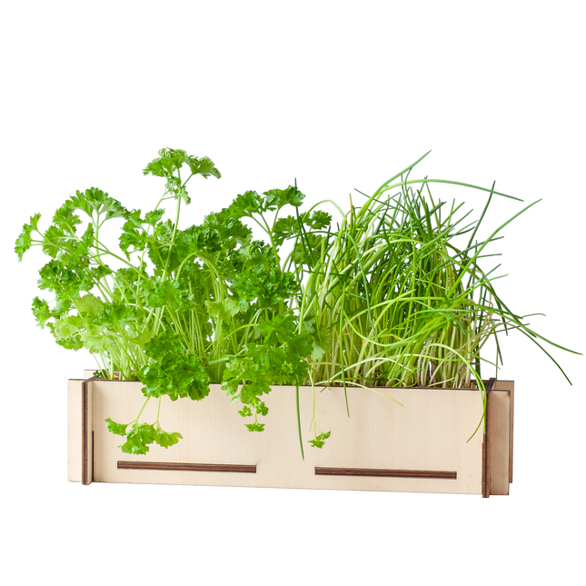 Kruidenpost - Brievenbuscadeau