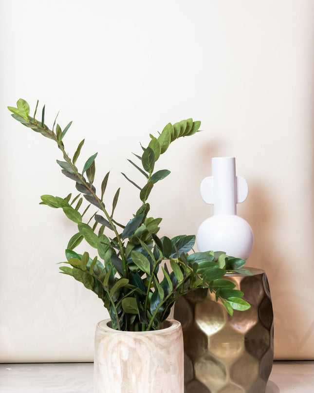 Kunstplant - Zamioculcas - Kamerpalm - 110 cm