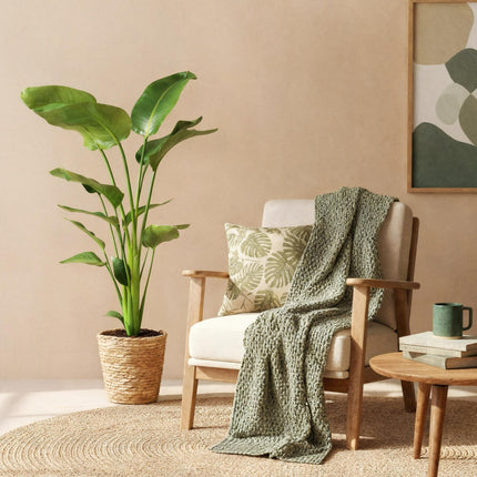 Strelitzie Nicolai - Paradiesvogelblume + Korb - Topf 21cm - Höhe 110-120cm