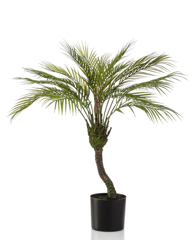 Kunstplant - Chamaedorea - Bergpalm - ↕ 85 cm