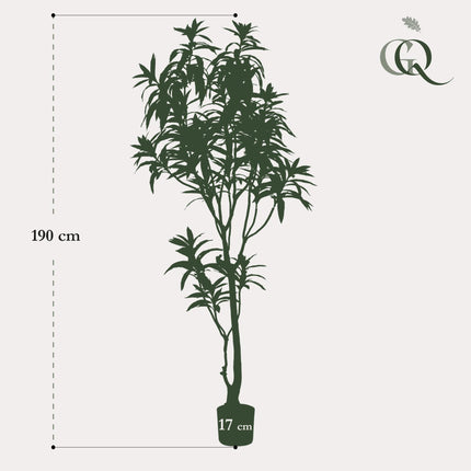 Kunstplant - Dracaena - Drakenboom - ↕ 190 cm