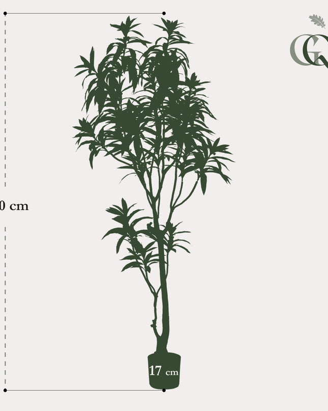 Kunstplant - Dracaena - Drakenboom - ↕ 190 cm