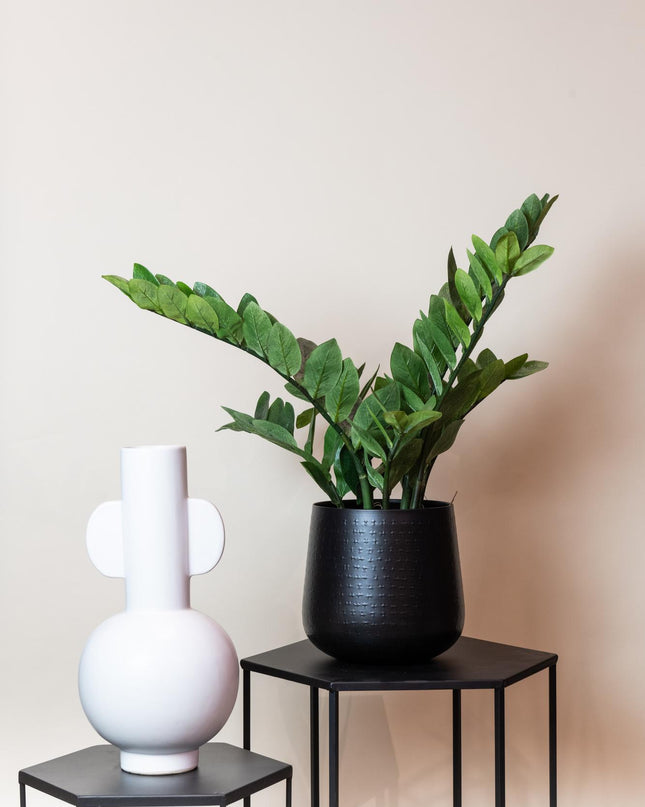 Kunstplant - Zamioculcas - Kamerpalm - ↕ 70 cm