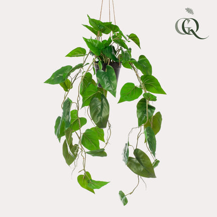 Kunstplant - Philodendron scandens - Klimmende Boomliefhebber - ↕ 80 cm