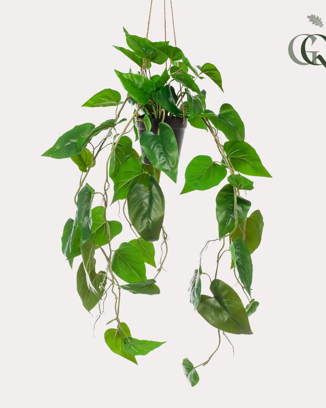 Kunstplant - Philodendron scandens - Klimmende Boomliefhebber - ↕ 80 cm